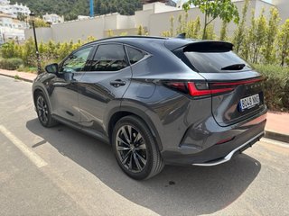 Lexus NX 2023 F SPORT