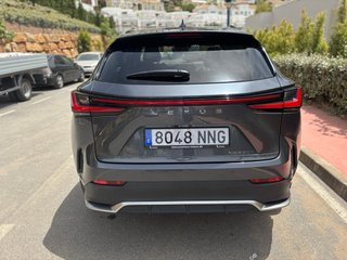Lexus NX 2023 F SPORT