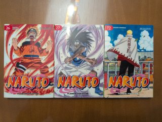 Naruto libro de combate