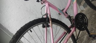 Bicicleta rosa con cesta
