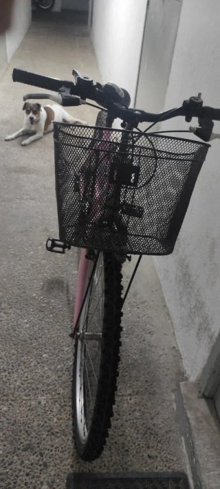 Bicicleta rosa con cesta
