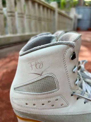 Patines profesionales Edea 250 Made in Italy,