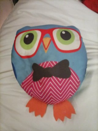 Cojín de tela de búho con gafas