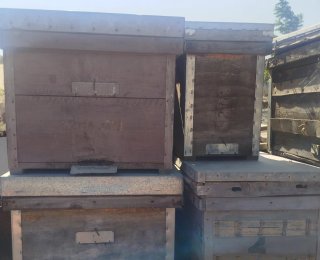 80 Colmenas para Abejas