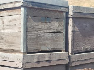 80 Colmenas para Abejas