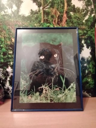 Cuadro Pantera Negra 40x50cm