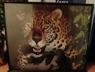 Cuadro Pantera Negra 40x50cm