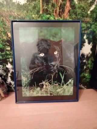 Cuadro Pantera Negra 40x50cm