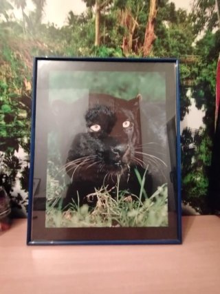 Cuadro Pantera Negra 40x50cm