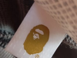 Felpa BAPE WGM Shark Zip Grigia