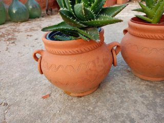 Macetas de barro más plantas