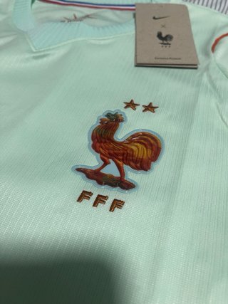 Camiseta Nike Francia Verde