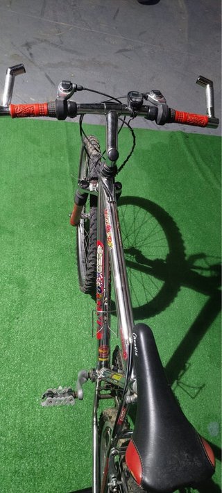 Bicicleta de Montaña