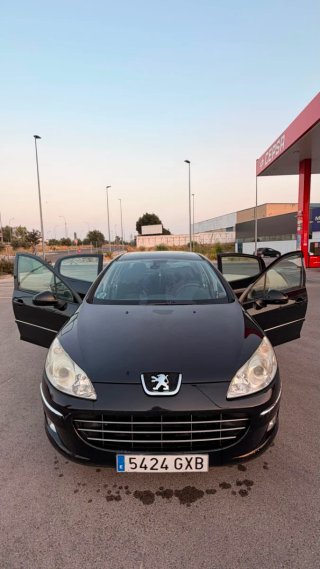Peugeot 407 2010