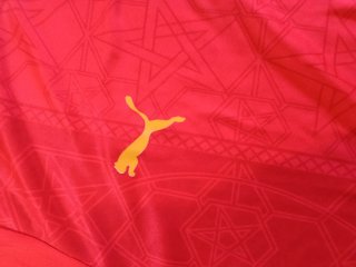 Camiseta Marruecos Puma Talla M