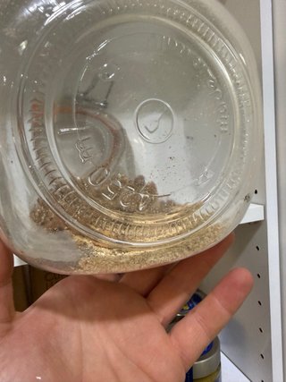 16 Tarros de cristal para conservas