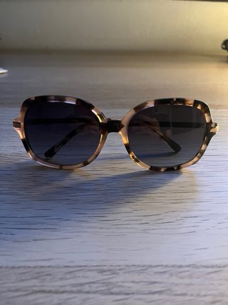 Gafas de sol Michael Kors MK2024 Adrianna II