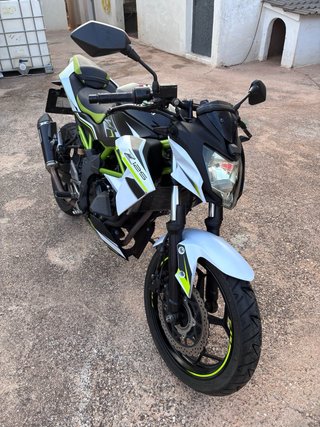 Kawasaki Z125 Naked Verde y Blanca