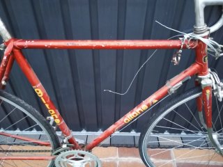 Bicicleta Gitane Reynolds Talla 55