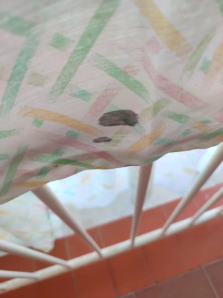 tiene varias manchas el edredón ,usado pero bien