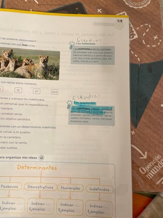 Lengua 5. Cuaderno 1.
