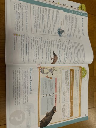 Natural Science, 4 Primary, Global Action