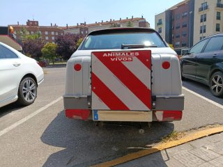 Transportín Bola Perros