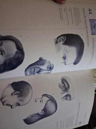 Anatomia Para El Artista