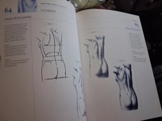 Anatomia Para El Artista