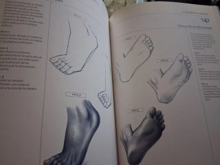 Anatomia Para El Artista