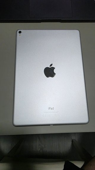 iPad Pro 9.7 1ª Gen (A1673)