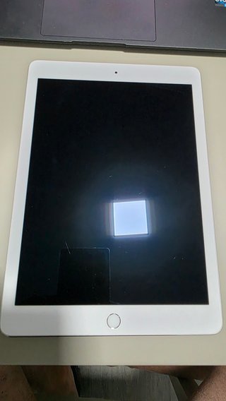 iPad Pro 9.7 1ª Gen (A1673)