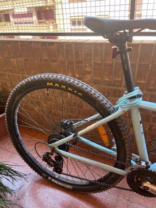 Bicicleta Trek Mujer