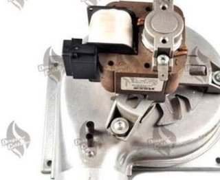 Extractor Caldera Roca Victoria 20-20 F