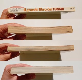Il grande libro dei funghi
