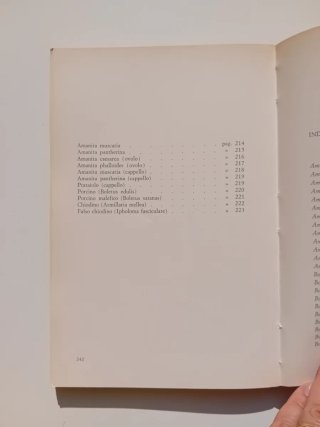 Il grande libro dei funghi