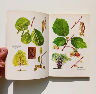 Il grande libro dei funghi