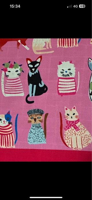 Foulard con stampa gatti multicolore