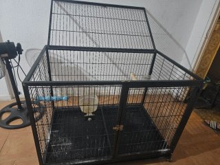 Jaula para loros negra