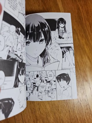 The Tunel to Summer manga completo
