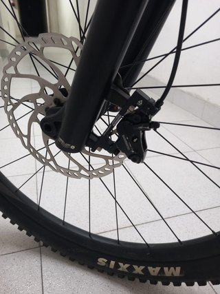 Giant Reign 29 2020