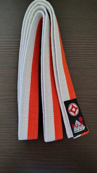 Protecciones Fujimae Karate Guantes y Espinilleras