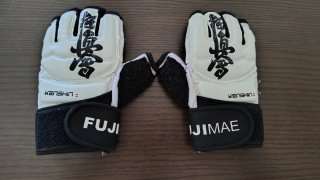 Protecciones Fujimae Karate Guantes y Espinilleras
