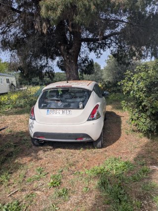 Lancia Ypsilon 2014