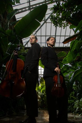 Clases particulares de violoncello