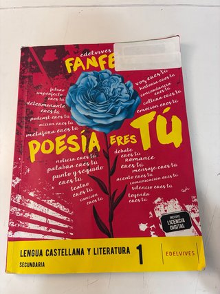 Lengua castellana y literatura 1 Secundaria