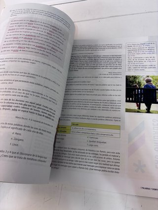 Lengua castellana y literatura 1 Secundaria