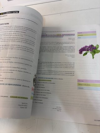 Lengua castellana y literatura 1 Secundaria