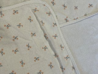 Toalla bebé con capucha