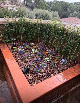 Jardinero experto terrazas